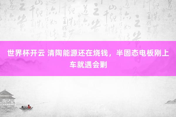 世界杯开云 清陶能源还在烧钱，半固态电板刚上车就遇会剿