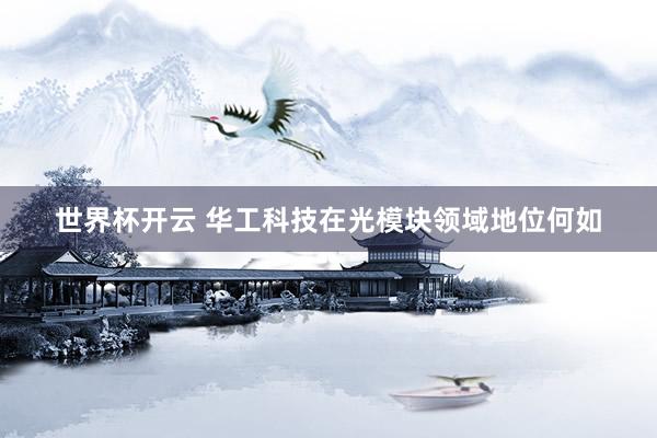 世界杯开云 华工科技在光模块领域地位何如