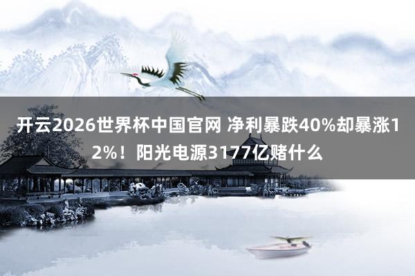 开云2026世界杯中国官网 净利暴跌40%却暴涨12%！阳光电源3177亿赌什么