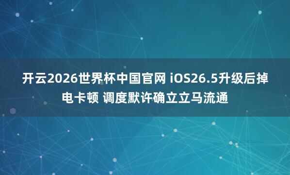 开云2026世界杯中国官网 iOS26.5升级后掉电卡顿 调度默许确立立马流通