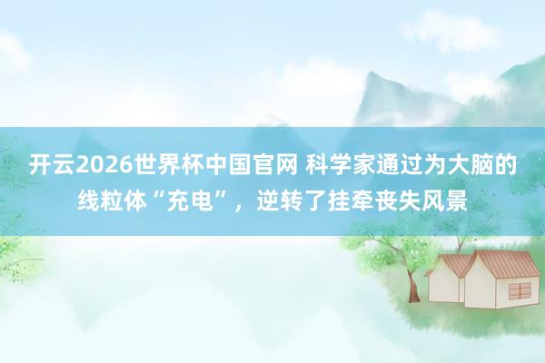 开云2026世界杯中国官网 科学家通过为大脑的线粒体“充电”，逆转了挂牵丧失风景