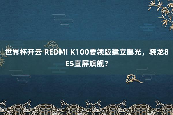 世界杯开云 REDMI K100要领版建立曝光，骁龙8E5直屏旗舰？