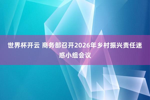 世界杯开云 商务部召开2026年乡村振兴责任迷惑小组会议