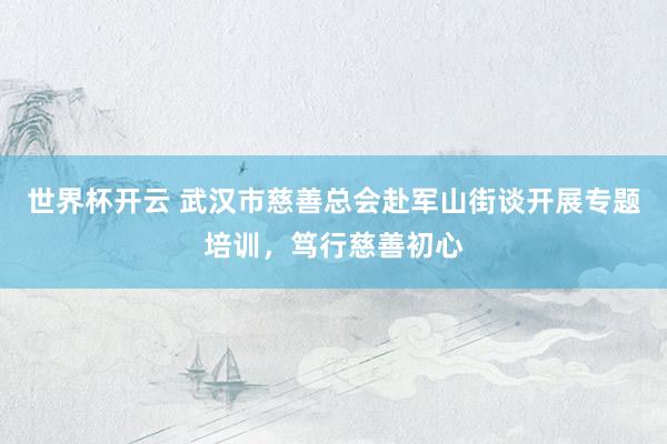 世界杯开云 武汉市慈善总会赴军山街谈开展专题培训，笃行慈善初心