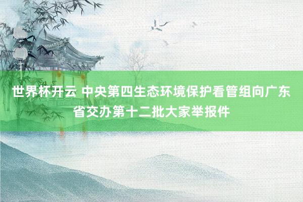 世界杯开云 中央第四生态环境保护看管组向广东省交办第十二批大家举报件