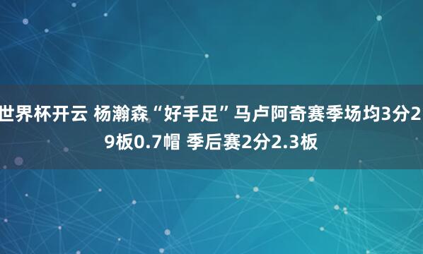 世界杯开云 杨瀚森“好手足”马卢阿奇赛季场均3分2.9板0.7帽 季后赛2分2.3板