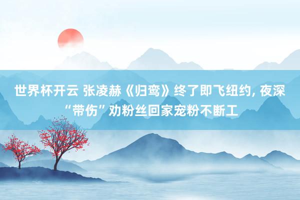 世界杯开云 张凌赫《归鸾》终了即飞纽约， 夜深“带伤”劝粉丝回家宠粉不断工