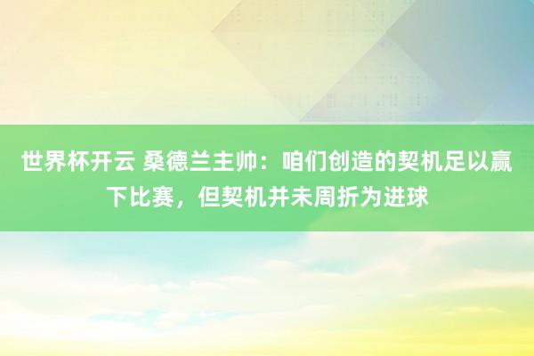 世界杯开云 桑德兰主帅：咱们创造的契机足以赢下比赛，但契机并未周折为进球