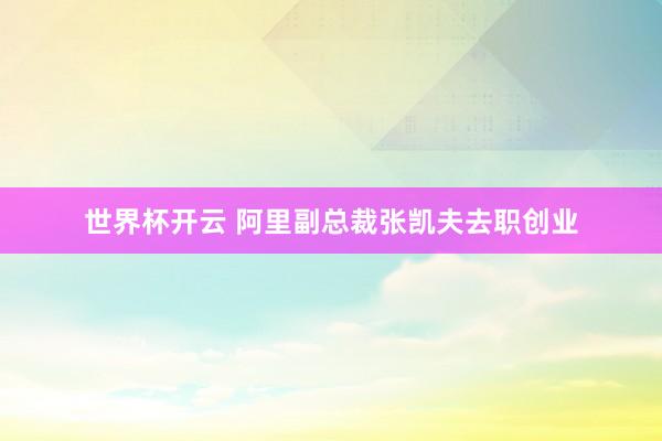 世界杯开云 阿里副总裁张凯夫去职创业