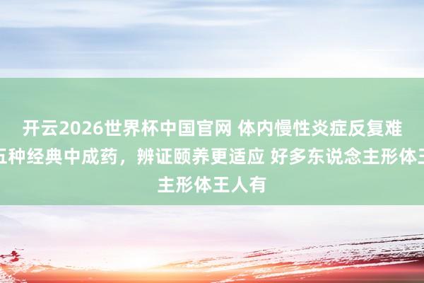 开云2026世界杯中国官网 体内慢性炎症反复难消？五种经典中成药，辨证颐养更适应 好多东说念主形体王人有