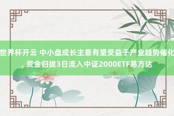 世界杯开云 中小盘成长主意有望受益于产业趋势催化， 资金归拢3日流入中证2000ETF易方达