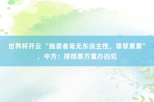 世界杯开云 “施袭者毫无东谈主性,罪孽累累”,中方:撑捏泰方重办凶犯