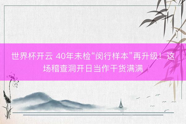 世界杯开云 40年未检“闵行样本”再升级！这场稽查洞开日当作干货满满