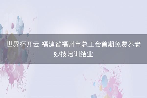 世界杯开云 福建省福州市总工会首期免费养老妙技培训结业