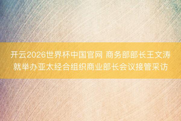 开云2026世界杯中国官网 商务部部长王文涛就举办亚太经合组织商业部长会议接管采访