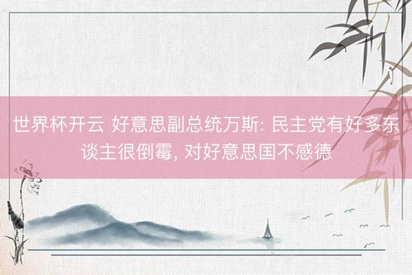 世界杯开云 好意思副总统万斯: 民主党有好多东谈主很倒霉, 对好意思国不感德